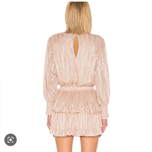 Misa Revolve Katia Dress in Blush Stripe - Picture 2 of 12